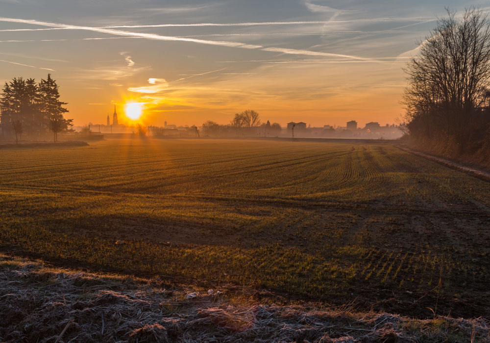 La campagna novarese al primo sole, con la skyline di Novara in lontananza tra i laghi e il Ticino