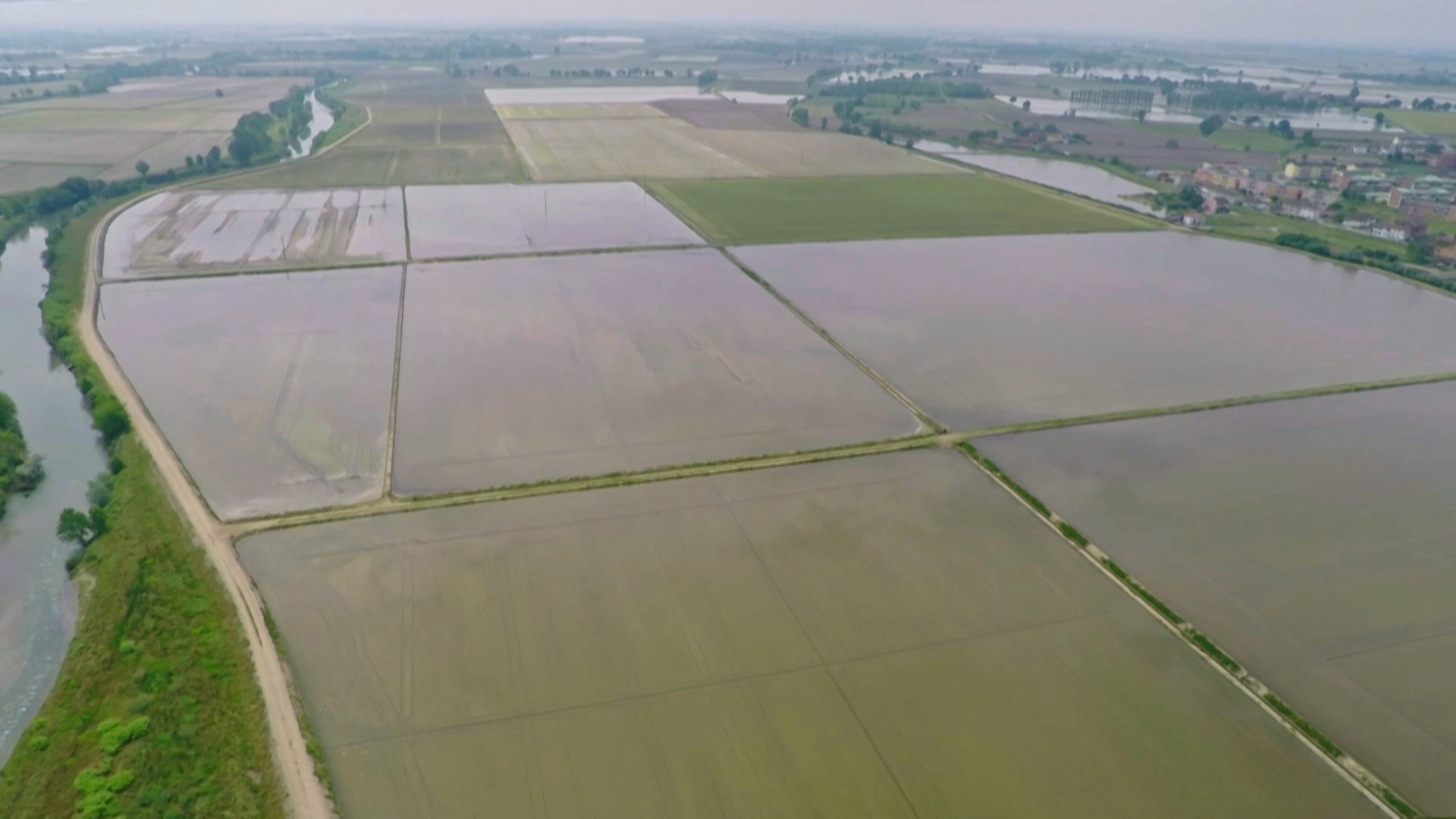 Flooded rice fields at sunrise near Lumellogno, low mist hovering above the water