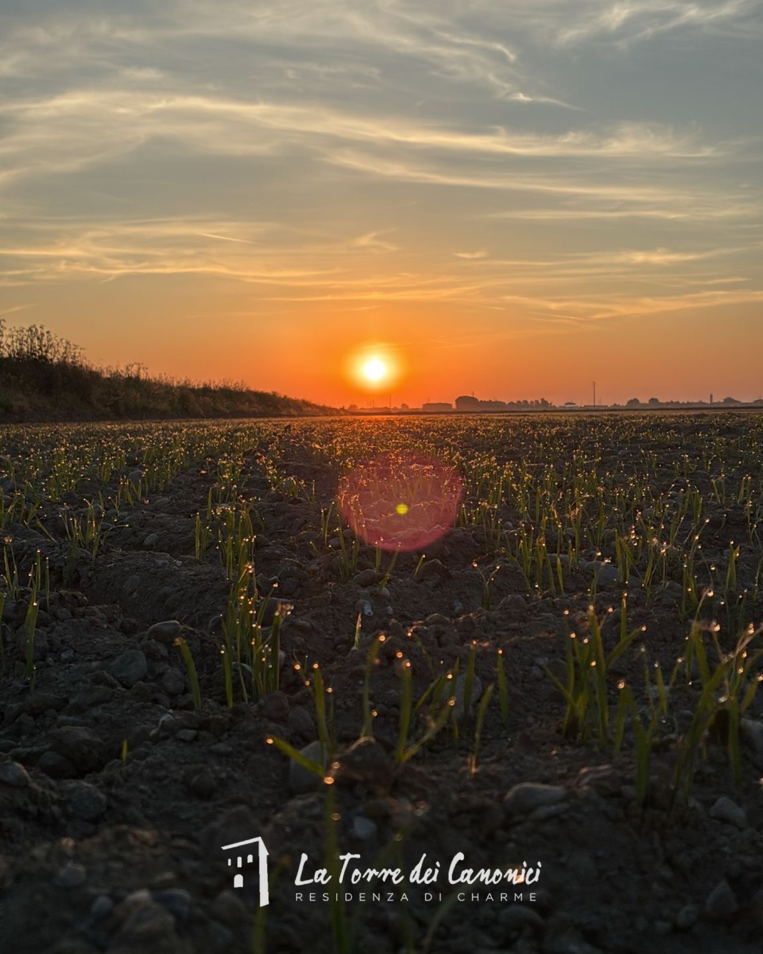 Sunset over the rice fields of La Torre dei Canonici in Lumellogno, low sun lighting the rice paddies